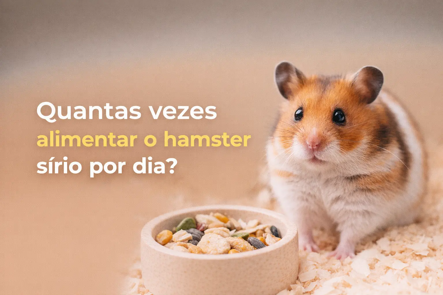 Hamster sírio ao lado de tigela com sementes e rações variadas