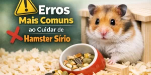 Hamster sírio fofo em abrigo com tigela de comida vermelha