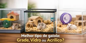 Três gaiolas diferentes para hamster: arame, vidro e acrílico com hamsters e acessórios.