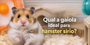 Hamster sírio em habitat com roda de exercício e casa
