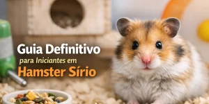 Hamster Sírio com pelagem colorida em cama de serragem com comida.