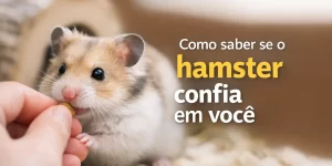 Hamster comendo na mão de uma pessoa com texto 'Como saber se o hamster confia em você'.