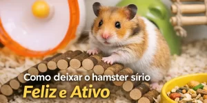 Hamster sírio curioso em ponte de madeira com roda e tigela ao fundo