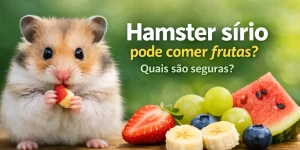 Hamster sírio com frutas: melancia, morangos, uvas e banana