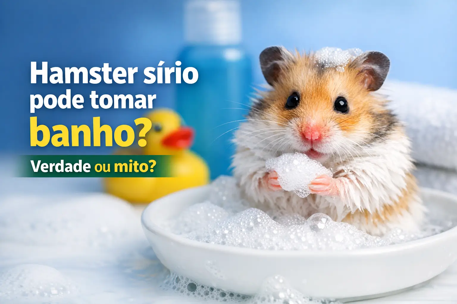 Hamster sírio brincando com bolhas em prato raso, cercado por banho divertido
