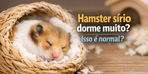 Hamster sírio dormindo em cesta aconchegante, cercado por cama macia