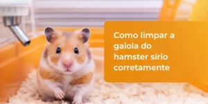 Hamster sírio em gaiola laranja com texto sobre limpeza de gaiola