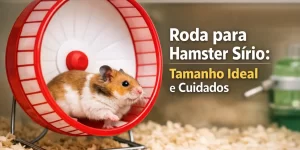 Hamster sírio em roda vermelha com cuidados essenciais