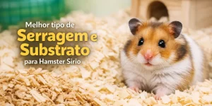 Hamster Sírio com pelagem colorida em habitat acolhedor com serragem ideal