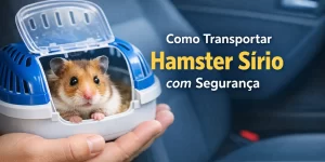 Hamster sírio dourado em caixa de transporte segura no carro