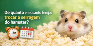 Hamster em serragem com sobreposição sobre troca de serragem