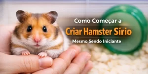 Hamster Sírio com pelagem laranja e marrom sendo segurado na mão, com habitat ao fundo