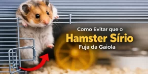 Hamster sírio com pelagem marrom e creme tentando sair de gaiola de barras metálicas